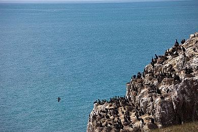 《死亡岛2》PC结束Epic独占 现已登陆了Steam